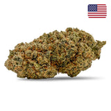 Papaya Diesel CBD