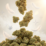 Charlotte's Angel CBD