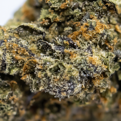 ZKITTLEZ