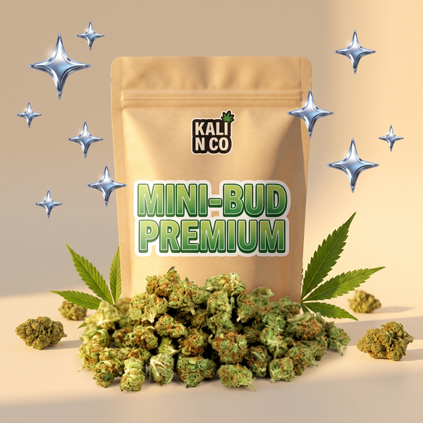 MINI-BUD PREMIUM
