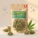 Amnesia Haze CBD