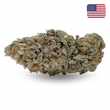 Sour Diesel CBD