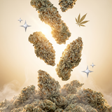 Sour Diesel CBD