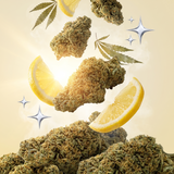Sour Lemon CBD