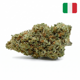 Super Silver Haze CBD