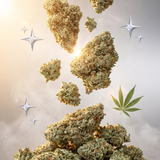 Super Silver Haze CBD