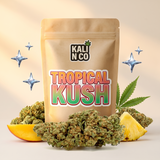 Tropical Kush CBD
