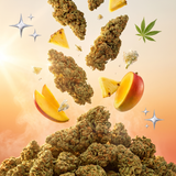 Tropical Kush CBD