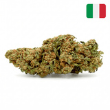 Tropical Kush CBD