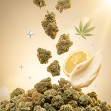 Lemon Curd CBD