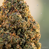 Zkittlez OG THCX 60%