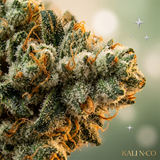 Gorilla Kush THCX 60%