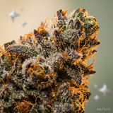 Amnesia Haze THCX 60%
