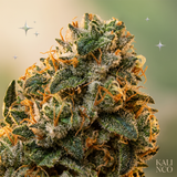 Cannatonic THCX 60%