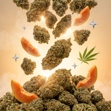 Papaya Diesel CBD
