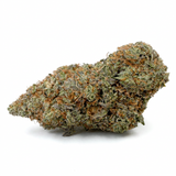 ButterCream Gelato CBD