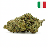 Strawberry Cheese CBD