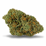 White OG CBD